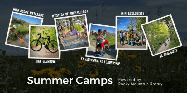 Glenbow Ranch Summer Camps (Family Fun Calgary)