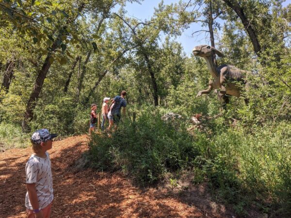 Barney's Outdoor Adventure Park(가족의 즐거움 캘거리)