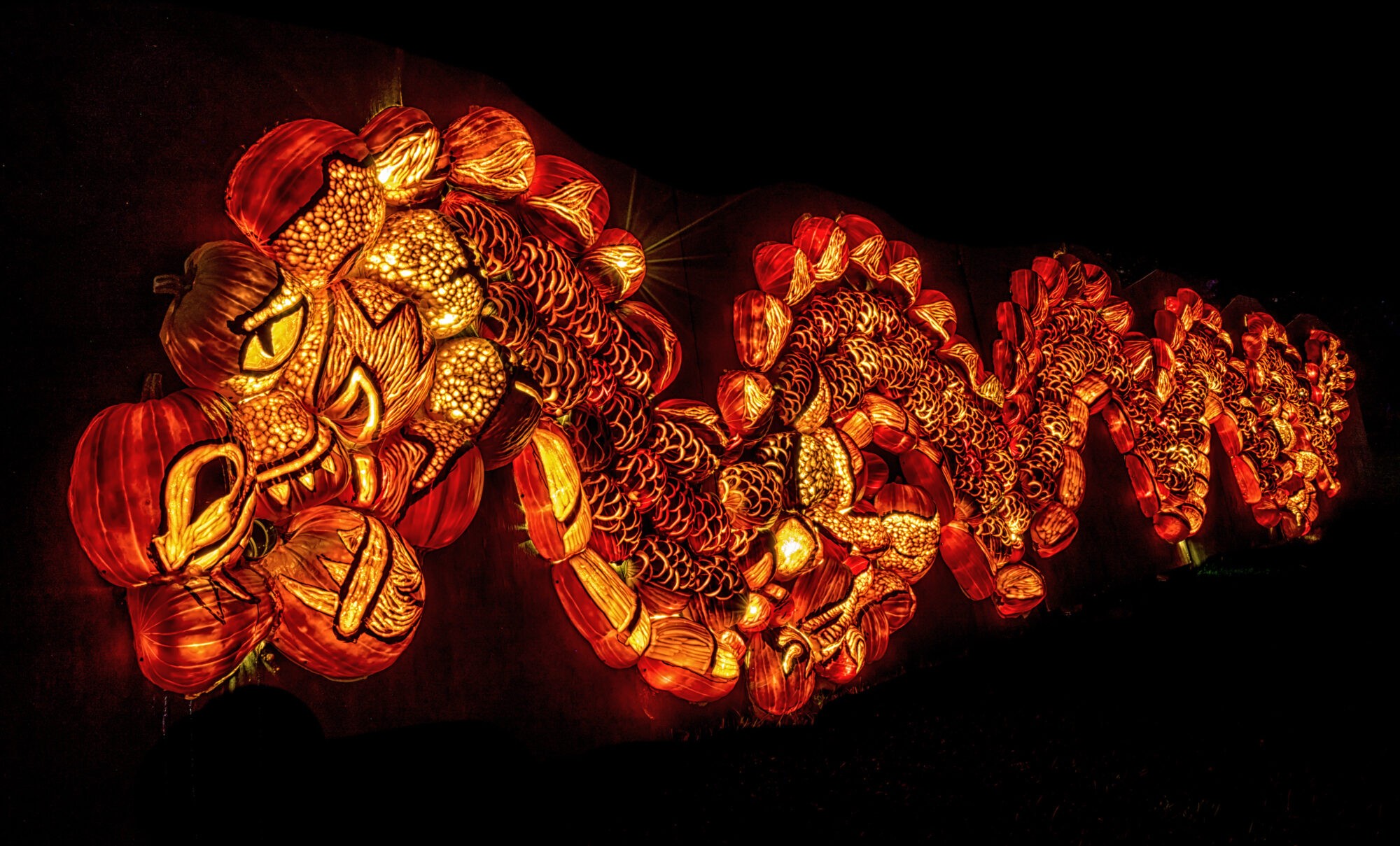 Pumpkins After Dark (Family Fun Calgary)