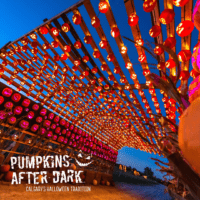 Pumpkins After Dark (Family Fun Calgary)