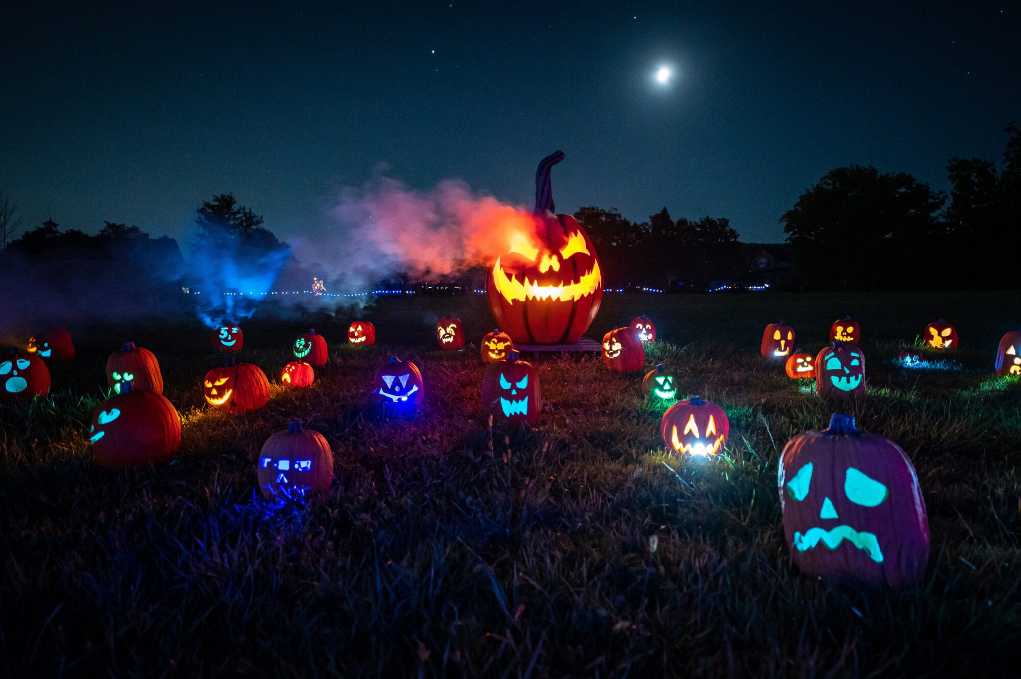 Calabazas después del anochecer (Diversión familiar Calgary)