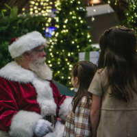 Southcentre Mall Christmas (Семейный отдых в Калгари)