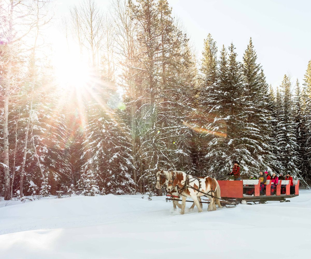 Natal no Boundary Ranch (diversão em família em Calgary)