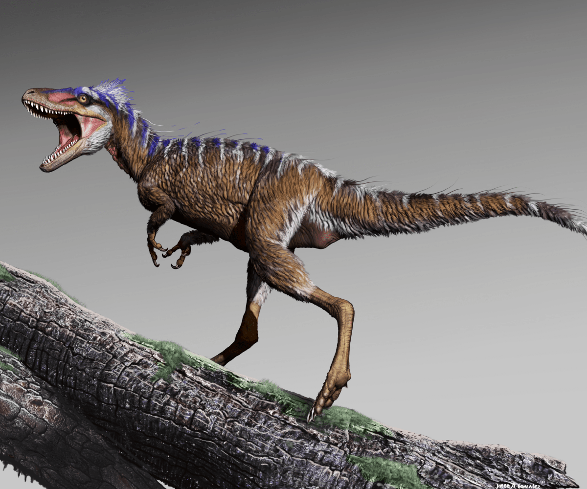 Arts Commons представляет National Geographic Live T. Rex Rises (Семейный отдых в Калгари)
