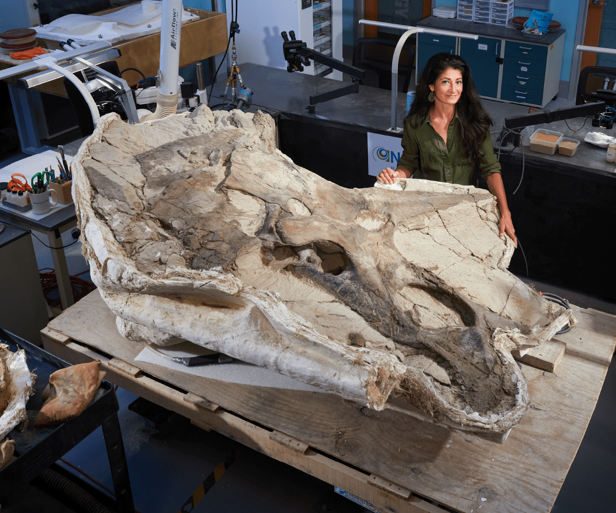 Arts Commons apresenta National Geographic Live T. rex Rises (Family Fun Calgary)