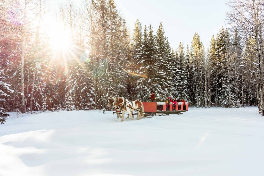 Boundary Ranch Christmas (Family Fun Calgary)