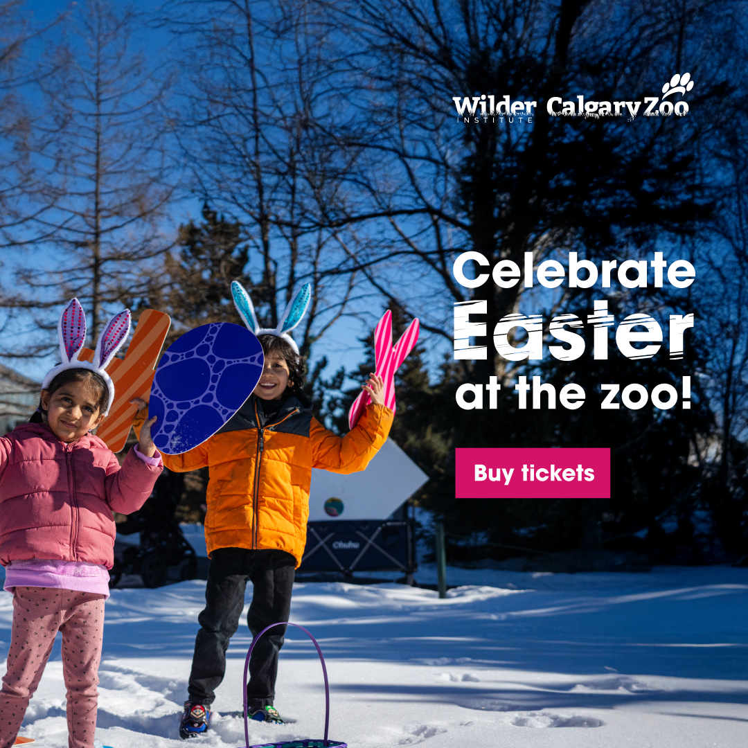 Wilder Institute/Calgary Zoo Easter (Family Fun Calgary)