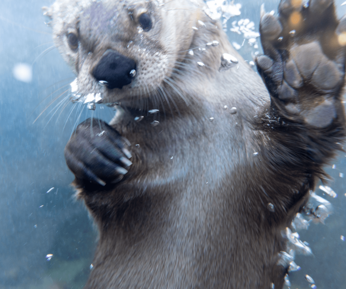 Wilder Institute/Calgary Zoo Winter Fun (Family Fun Calgary)