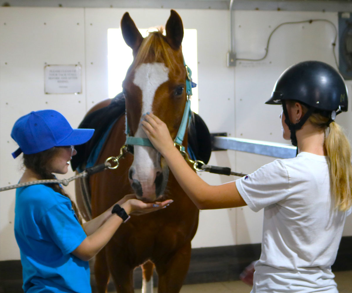 Clip Clop Horsemanship Summer Camps (Family Fun Calgary)