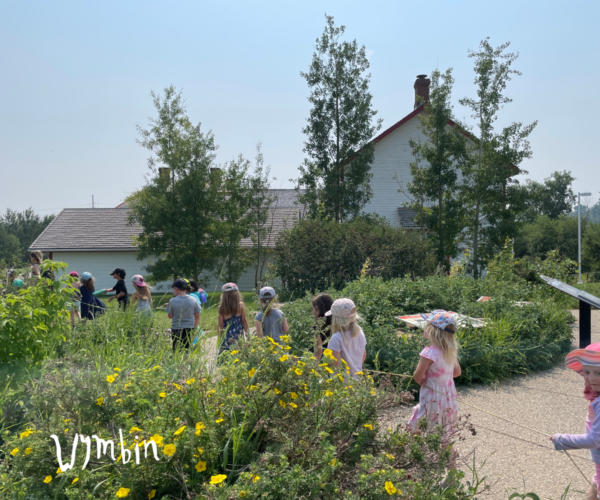 Wymbin Summer Camps (Family Fun Calgary)