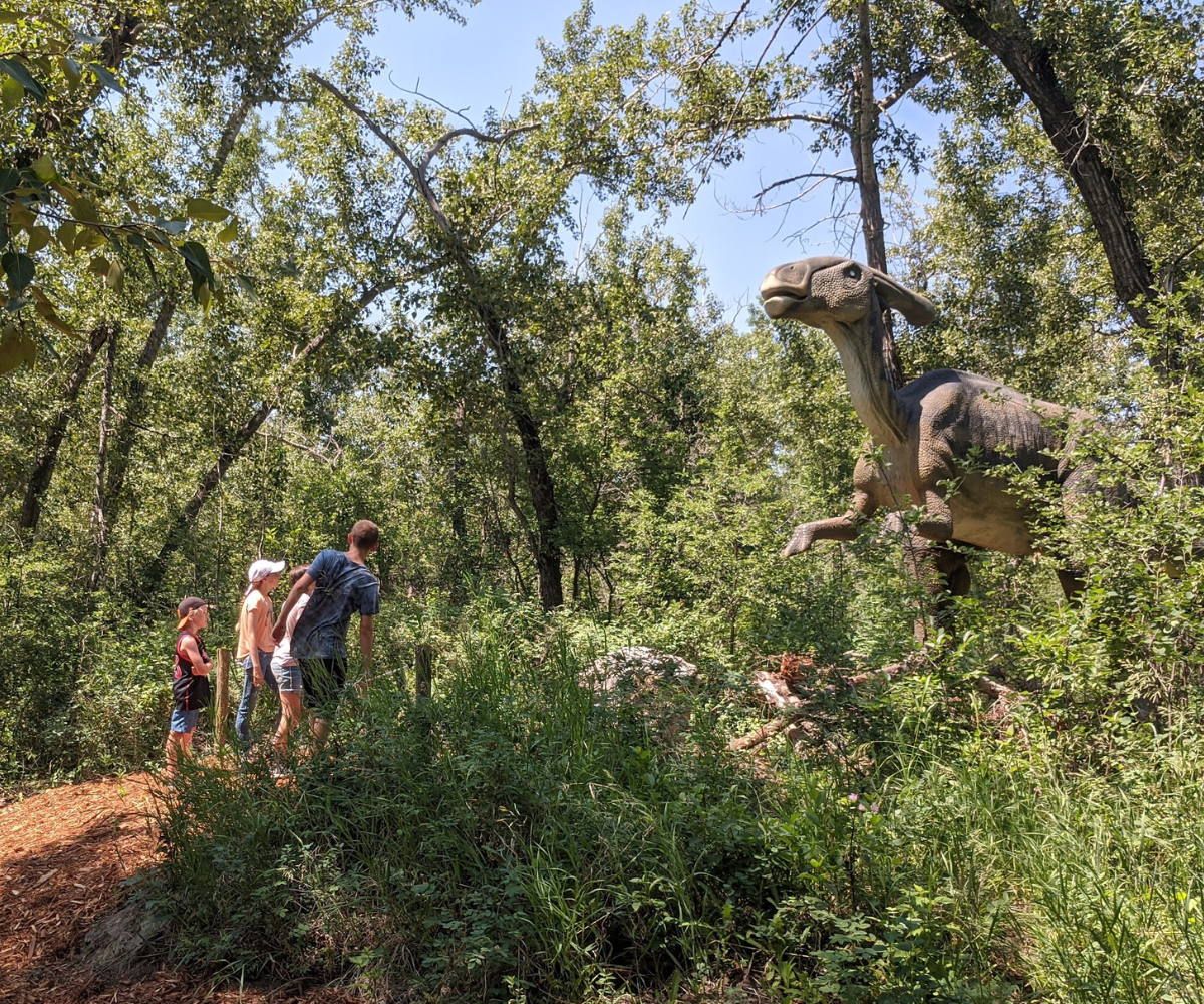 Barney's Adventure Park Summer (Family Fun Calgary)