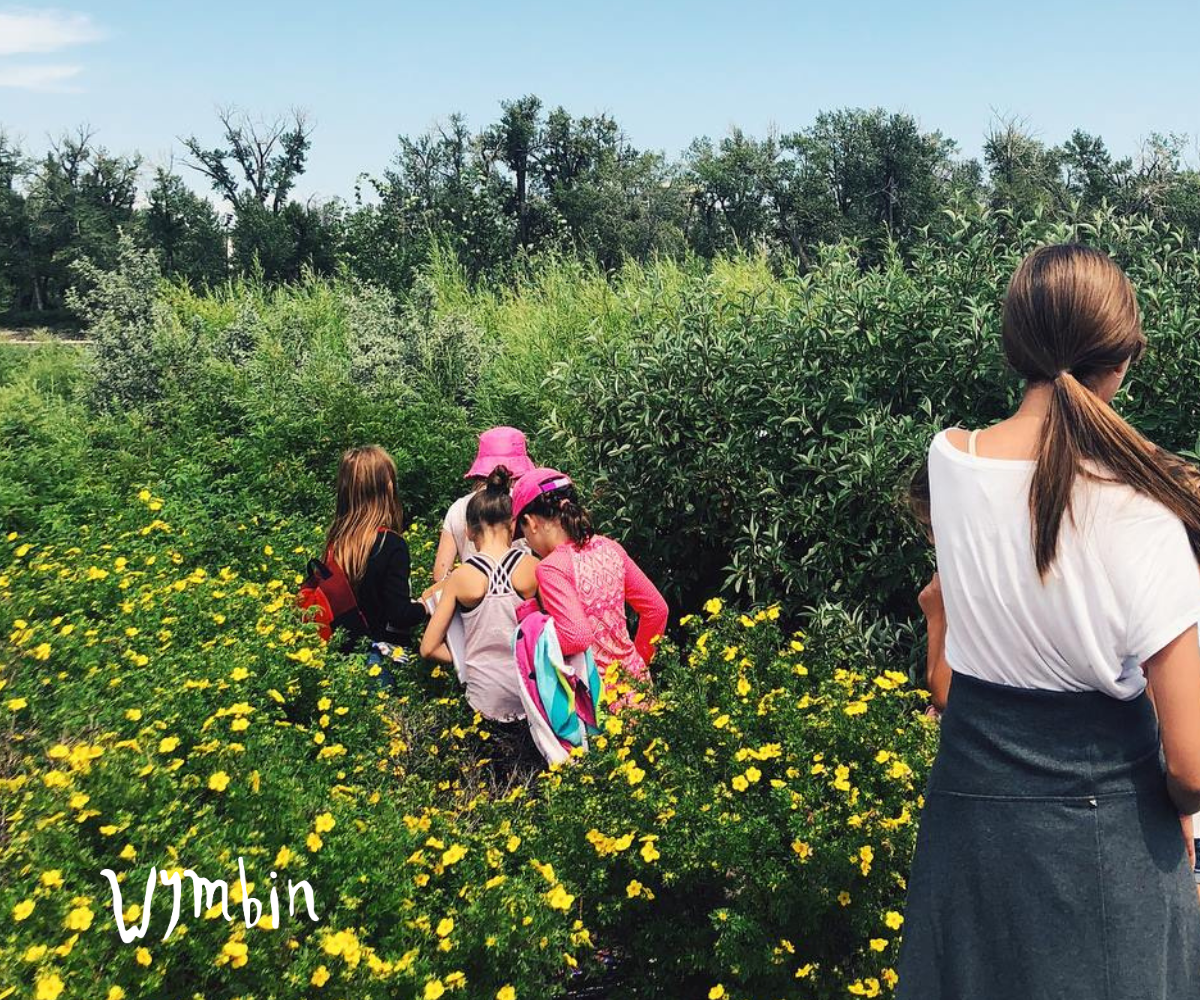 Wymbin Summer Camps (Family Fun Calgary)