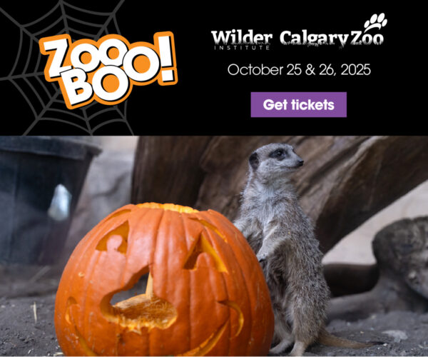 Wilder Institute/Calgary Zoo ZooBOO (Family Fun Calgary)