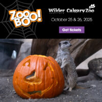 Wilder Institute/Calgary Zoo ZooBOO (Family Fun Calgary)