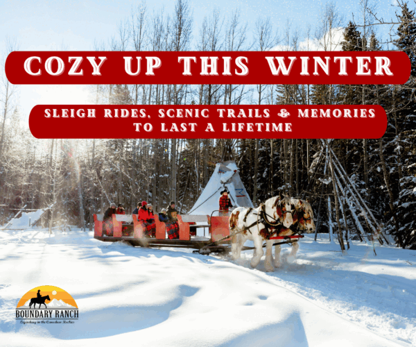 Boundary Ranch Christmas (Family Fun Calgary)