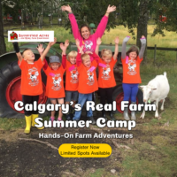 Butterfield Acres Summer Camps (Family Fun Calgary)