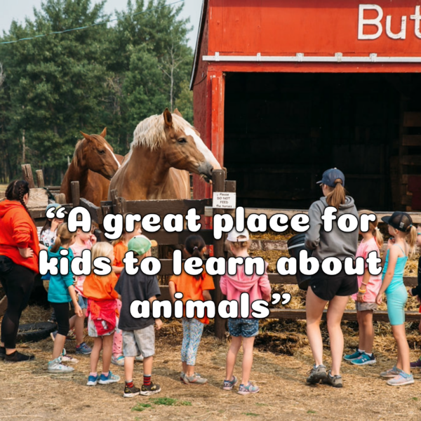Butterfield Acres Summer Camps (Family Fun Calgary)