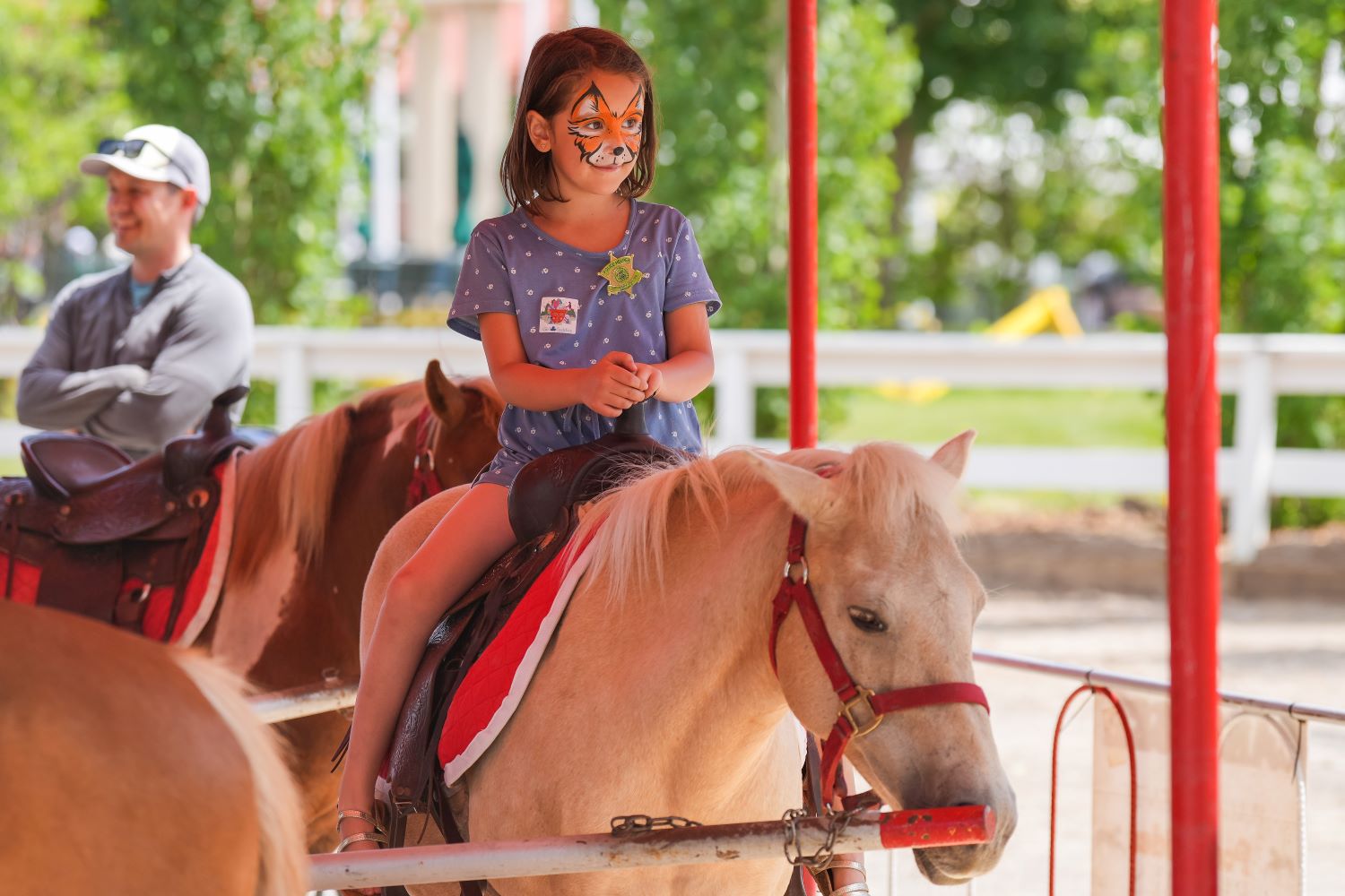Spruce Meadows (Family Fun Calgary)