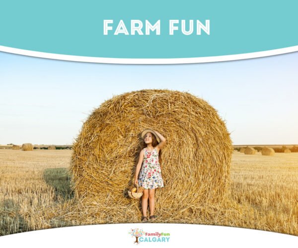 Farm Fun (Family Fun Calgary)