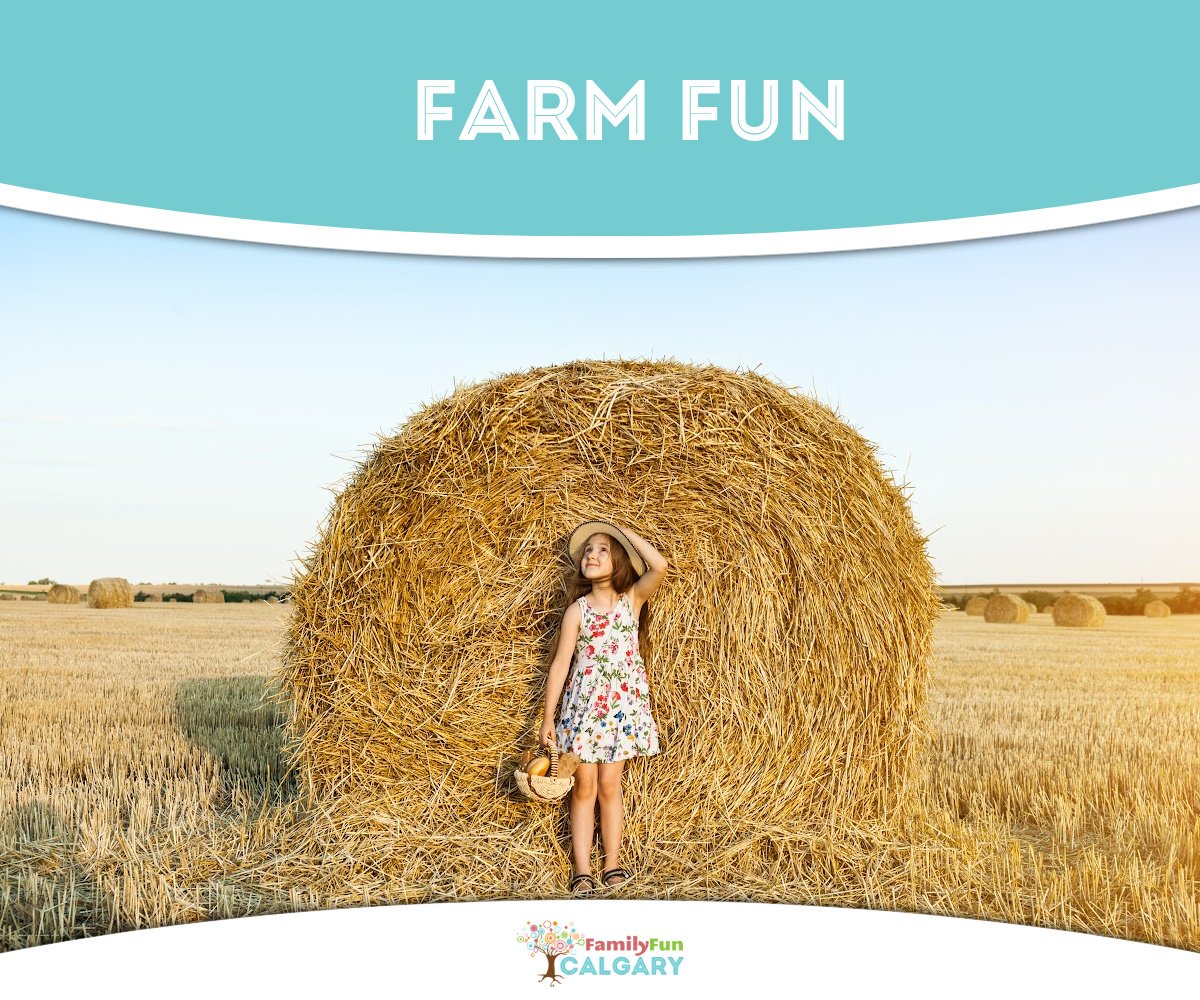 Farm Fun (Family Fun Calgary)