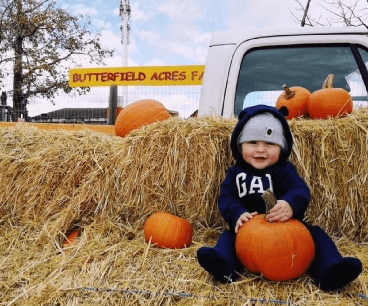 Butterfield Acres Harvest Pumpkin Fest (Family Fun Calgary)
