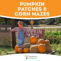 Pumpkin Patches & Corn Mazes (Family Fun Calgary)
