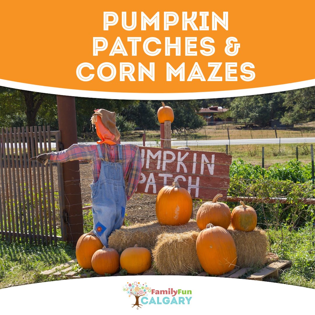 Pumpkin Patches & Corn Mazes (Family Fun Calgary)
