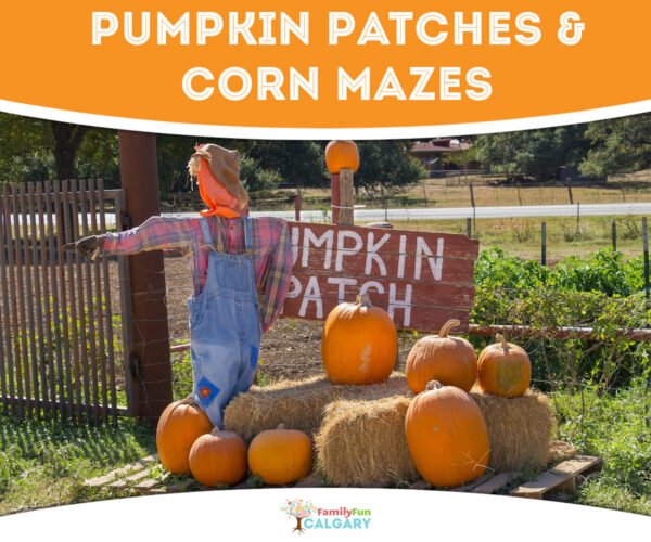 Pumpkin Patches & Corn Mazes (Family Fun Calgary)