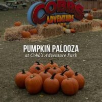 Cobb's Adventure Park Halloween (Family Fun Calgary)