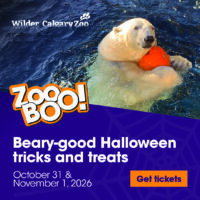 Calgary Zoo ZooBOO (Family Fun Calgary)