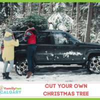 Christmas Tree Cutting (Family Fun Calgary)