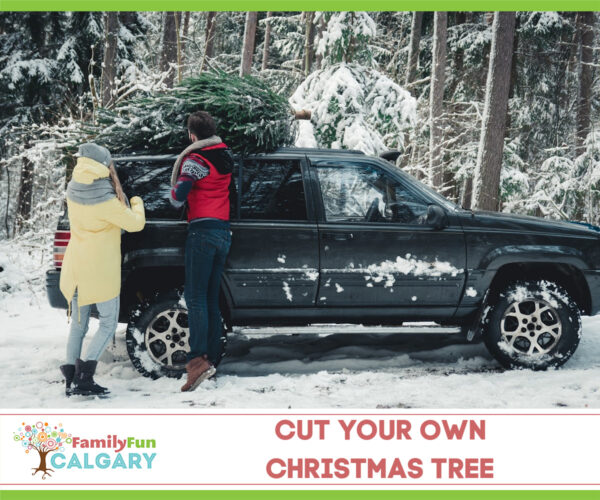 Weihnachtsbaum schneiden (Familienspaß Calgary)