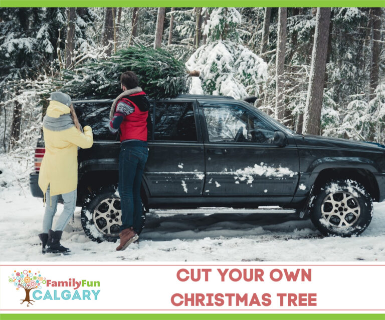 Cut Your Own Christmas Tree Family Fun Calgary