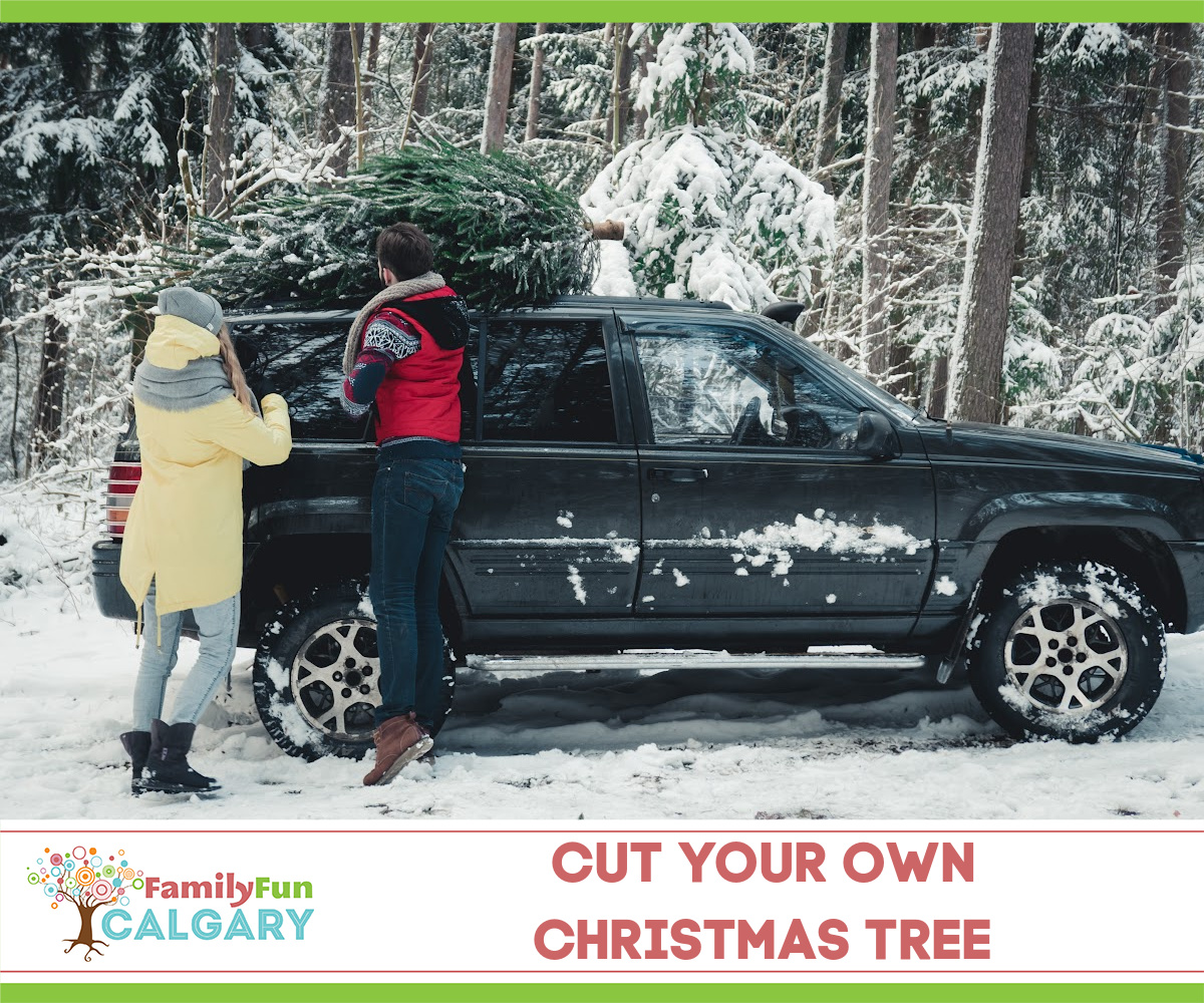Christmas Tree Cutting (Family Fun Calgary)