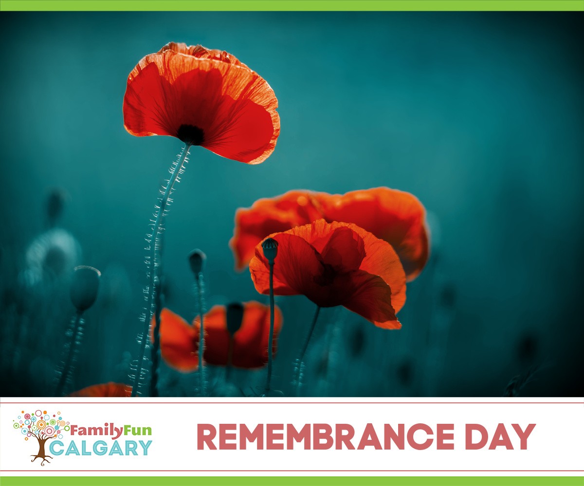 Remembrance Day Ceremonies Calgary