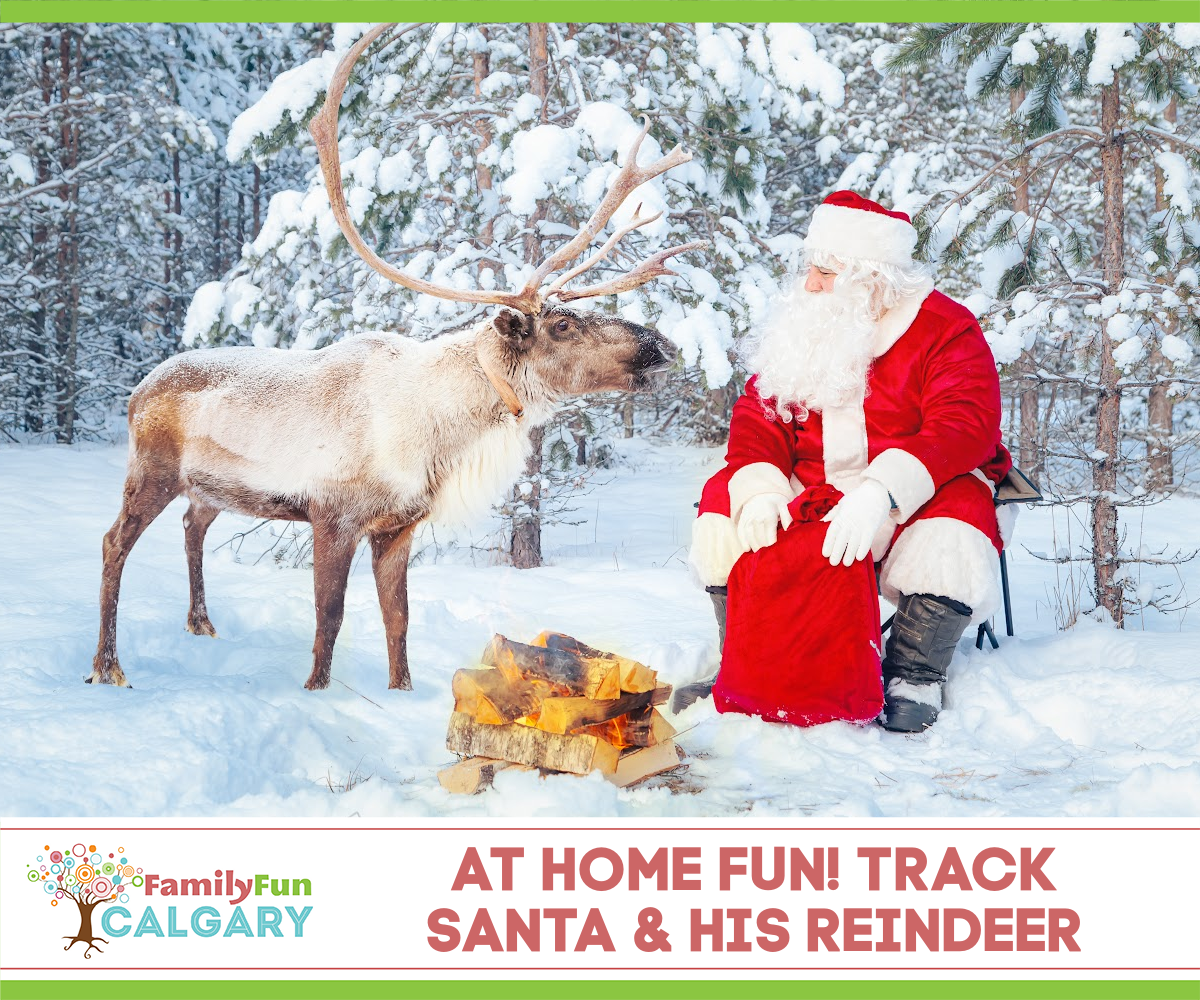 Track Santa & Reindeer