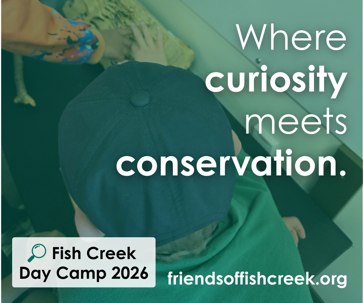 Fish Creek Summer Camps (Family Fun Calgary)