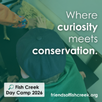 Fish Creek Summer Camps (Family Fun Calgary)