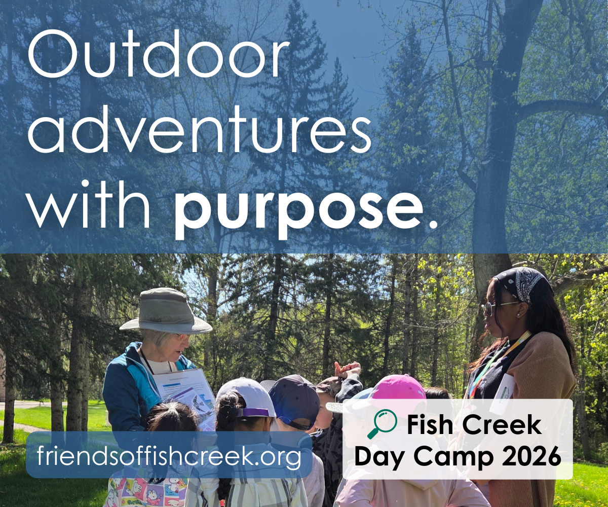 Fish Creek Summer Camps (Family Fun Calgary)