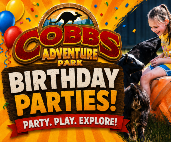 Cobb's Adventure Park Birthday Parties (Family Fun Calgary)