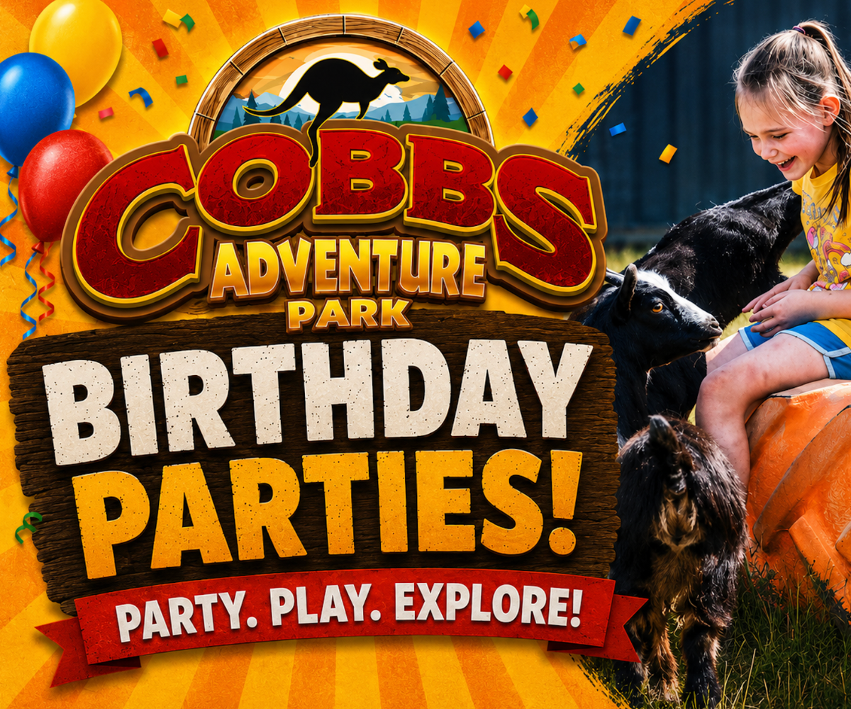 Cobb's Adventure Park Birthday Parties (Family Fun Calgary)