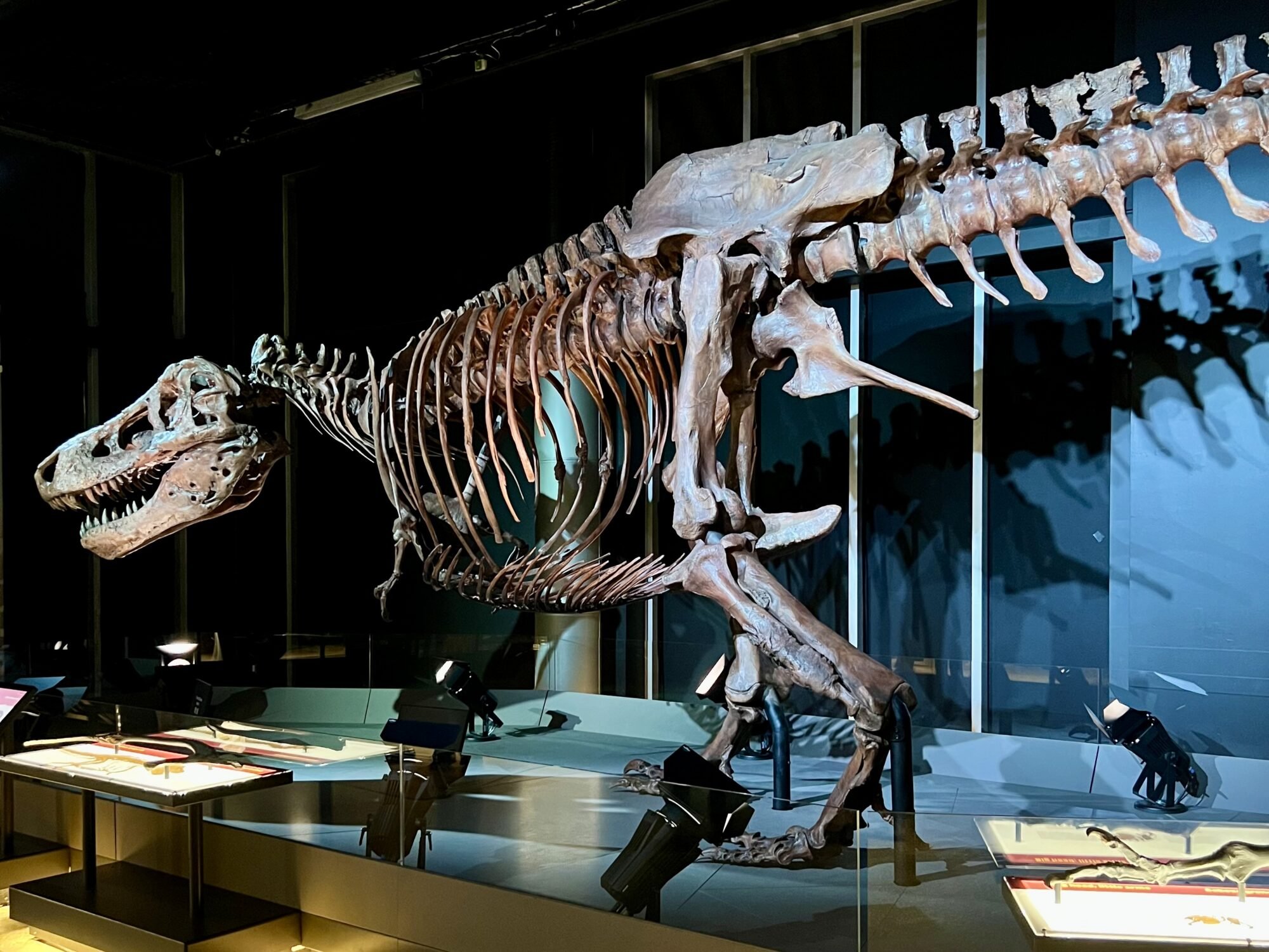 TELUS Spark SUE the T. rex Experience (Family Fun Calgary)