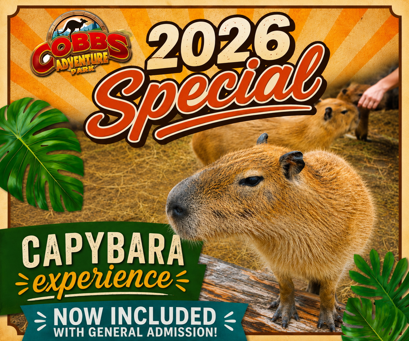 Cobb's Adventure Park Summer (Family Fun Calgary)
