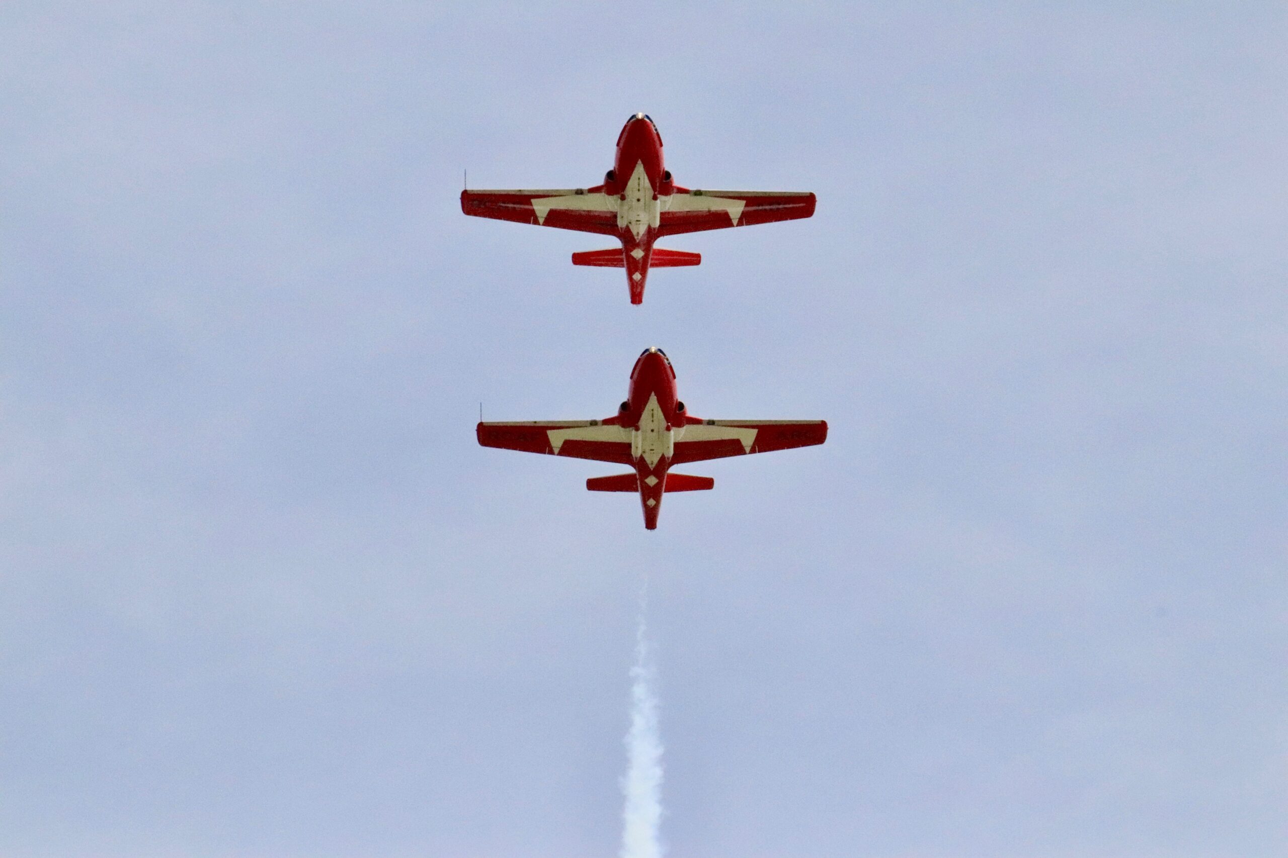 Snowbirds (Family Fun Calgary)