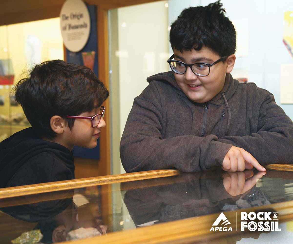 APEGA Rock & Fossil Clinic 2026