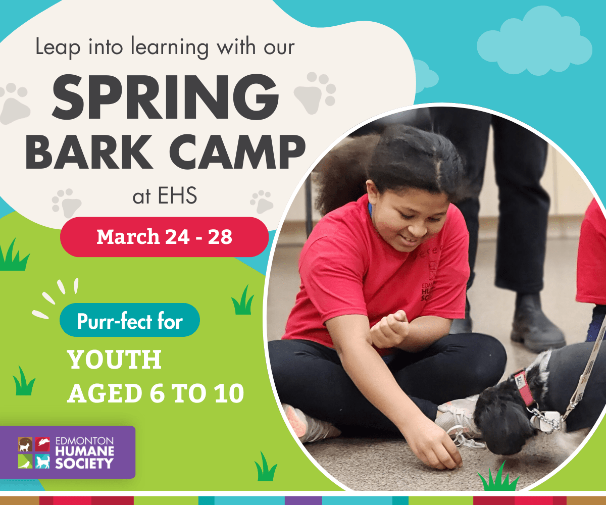 Edmonton Humane Society Spring Bark Camp 2025