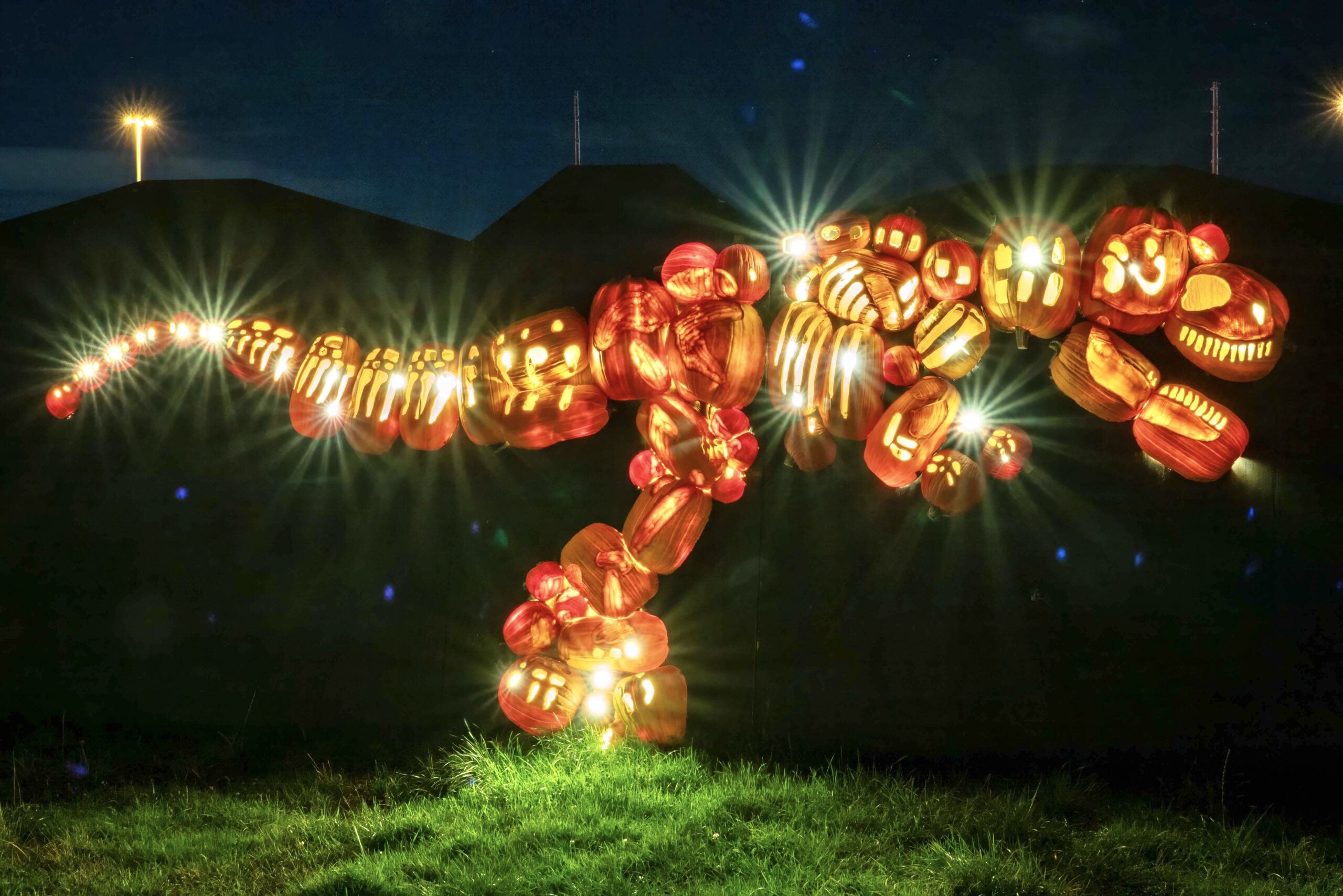 Pumpkins After Dark Edmonton