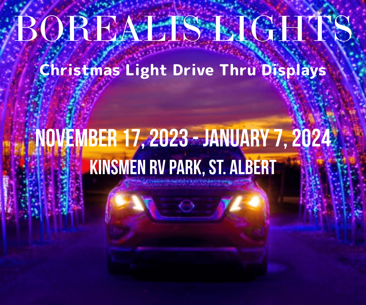 Présentoir de lumière de Noël au volant Borealis Lights
