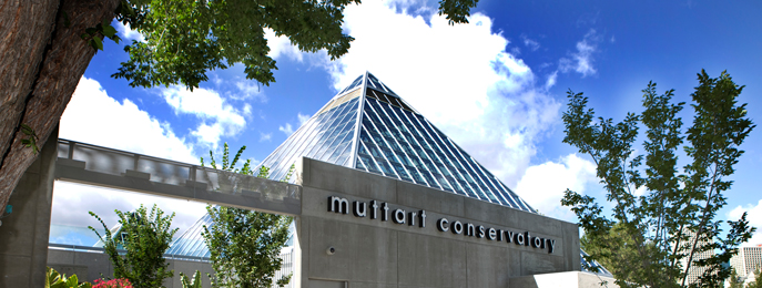 Muttart Conservatory