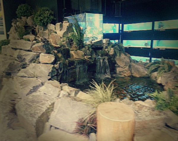 Big-Als-fountain